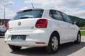 Volkswagen Polo Comfortline BMT 1,4 TDI Blanco - thumbnail 6