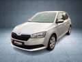Skoda Fabia Cool Plus 1.0 TSI PDC Argent - thumbnail 2