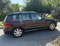 Mercedes-Benz GLK 220 GLK 220 CDI BlueEfficiency 4Matic (204.984) Bruin - thumbnail 3