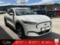 Ford M Mustang Standard Range - 269 Blanco - thumbnail 5