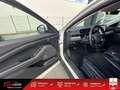 Ford M Mustang Standard Range - 269 Blanco - thumbnail 21