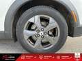 Ford M Mustang Standard Range - 269 Blanco - thumbnail 50