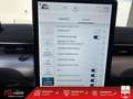 Ford M Mustang Standard Range - 269 Blanco - thumbnail 19
