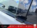 Ford M Mustang Standard Range - 269 Blanco - thumbnail 47