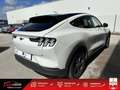 Ford M Mustang Standard Range - 269 Blanco - thumbnail 7