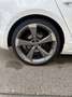 Audi A5 Sportback 3.0 TDI quattro S tronic sport - S-Line Weiß - thumbnail 22