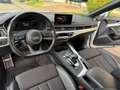 Audi A5 Sportback 3.0 TDI quattro S tronic sport - S-Line Weiß - thumbnail 12