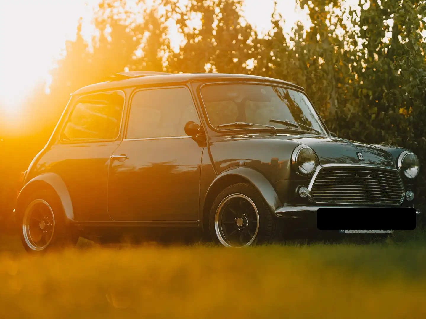 Austin Mini Mini Gris - 1