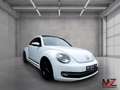 Volkswagen Beetle CUP*DSG*140PS*BiXenon*Keyless*TÜV NEU!! Weiß - thumbnail 3
