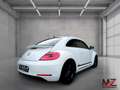 Volkswagen Beetle CUP*DSG*140PS*BiXenon*Keyless*TÜV NEU!! Weiß - thumbnail 6