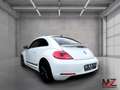 Volkswagen Beetle CUP*DSG*140PS*BiXenon*Keyless*TÜV NEU!! Weiß - thumbnail 4