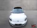 Volkswagen Beetle CUP*DSG*140PS*BiXenon*Keyless*TÜV NEU!! Weiß - thumbnail 7