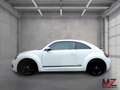 Volkswagen Beetle CUP*DSG*140PS*BiXenon*Keyless*TÜV NEU!! Weiß - thumbnail 8