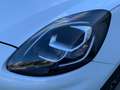 Ford Puma 1.0 EcoBoost MHEV Titanium 125 Blanco - thumbnail 16