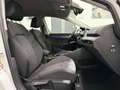 Volkswagen Golf VIII 2.0 TDI Variant Style/DSG/LED/HUD/STHZ Blanco - thumbnail 12