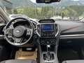 Subaru XV 2.0i-S CVT Style Navi Allrad Rot - thumbnail 13