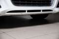 Audi A3 Cabrio 1.9 TDI F.AP. Attraction 105CV Weiß - thumbnail 22