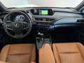 Lexus UX 250h Business Line Grijs - thumbnail 20
