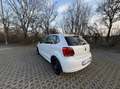 Volkswagen Polo 1.6 TDI Trendline - thumbnail 3