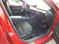 Mazda 3 SKYACTIV-G 2.0l 122 PS Selection A18+Navi Rot - thumbnail 9