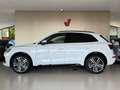 Audi Q5 40 TDI 204 CV quattro S tronic S line Bianco - thumbnail 1