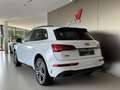 Audi Q5 40 TDI 204 CV quattro S tronic S line Bianco - thumbnail 4