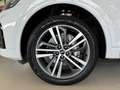 Audi Q5 40 TDI 204 CV quattro S tronic S line Bianco - thumbnail 6