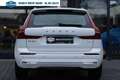 Volvo XC60 2.0 T6 Plug-in hybrid AWD Inscription Expression|P Weiß - thumbnail 5