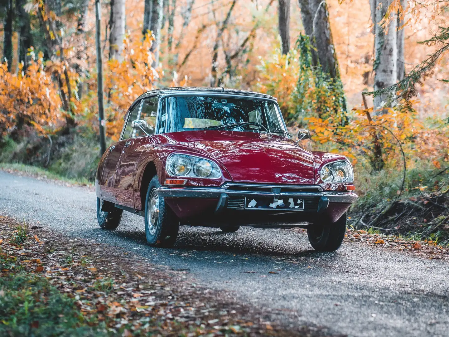 Citroen DS DSuper Rot - 1