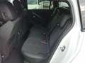 Opel Astra ST 1.2 Turbo GS Aut. Weiß - thumbnail 22