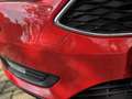 Ford Focus Turnier 1.5 TDCi DPF Start-Stopp-System Business Rot - thumbnail 8