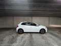 Volkswagen Polo Polo 1.0 TSI DSG OPF UNITED Blanc - thumbnail 4