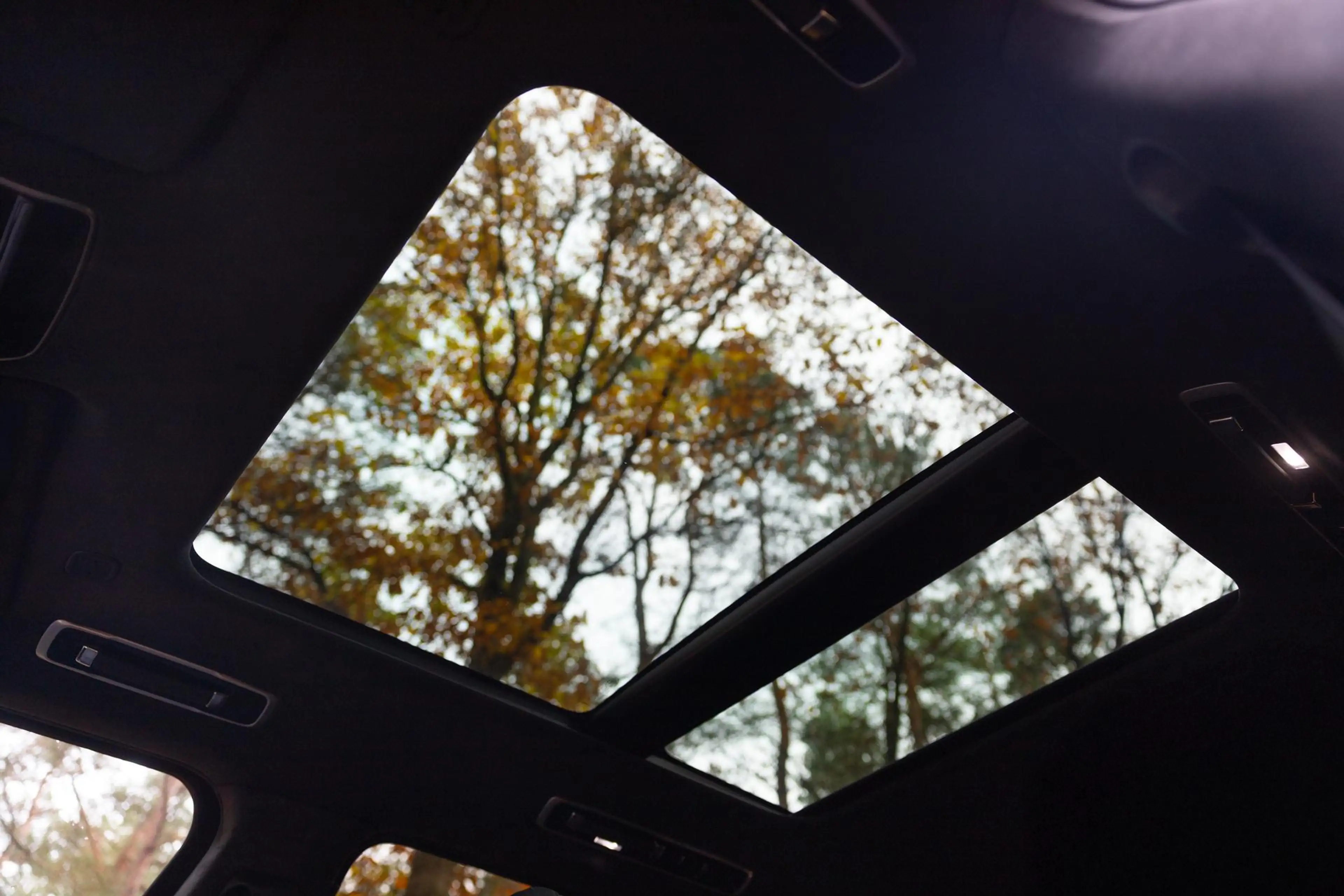 Land Rover Range Rover SV 3.0 P550e SV | British Racing Green Satin | Rea — photo 11
