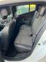 Renault Megane Mégane 1.5 dCi 95ch Business eco² 2015 Blanc - thumbnail 20