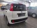 Fiat Panda 1.0 GSE S&S Hybrid Pop Van 2 posti Wit - thumbnail 4