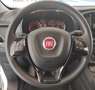 Fiat Doblo Cargo 1.4 tjt 120cv CH1 METANO!! Weiß - thumbnail 9
