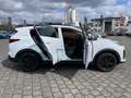 Kia Sportage 1.6 GDI 2WD Black Edition PSD/ACC/RFK Weiß - thumbnail 9