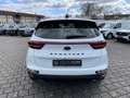 Kia Sportage 1.6 GDI 2WD Black Edition PSD ACC RFK Bianco - thumbnail 13