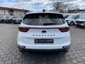 Kia Sportage 1.6 GDI 2WD Black Edition PSD/ACC/RFK Weiß - thumbnail 13