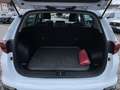 Kia Sportage 1.6 GDI 2WD Black Edition PSD/ACC/RFK Weiß - thumbnail 15
