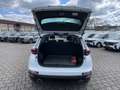Kia Sportage 1.6 GDI 2WD Black Edition PSD/ACC/RFK Weiß - thumbnail 14