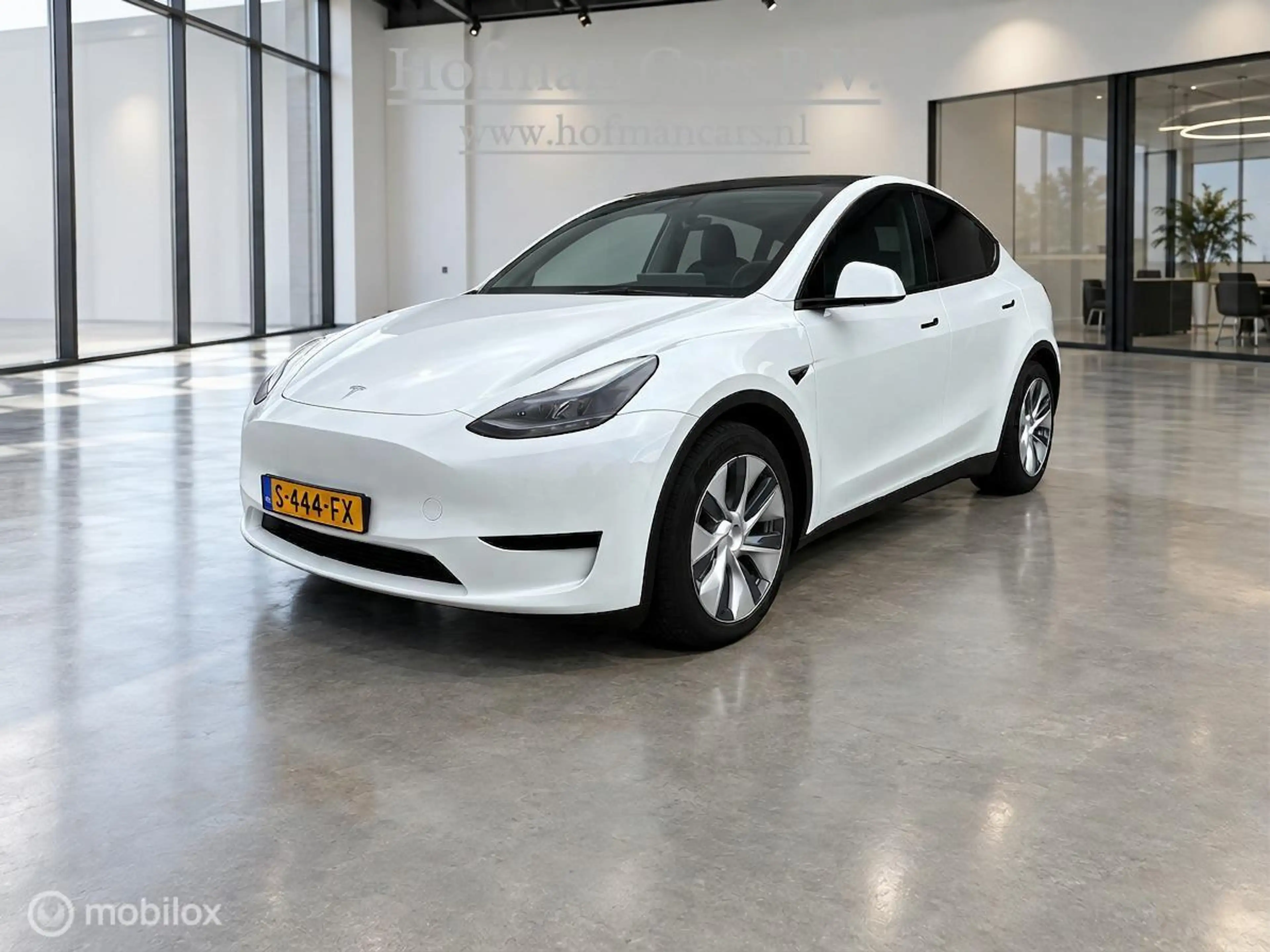 Tesla Model Y RWD 58 kWh LFP | SOH 88% MOBA | Supercharging | Ry