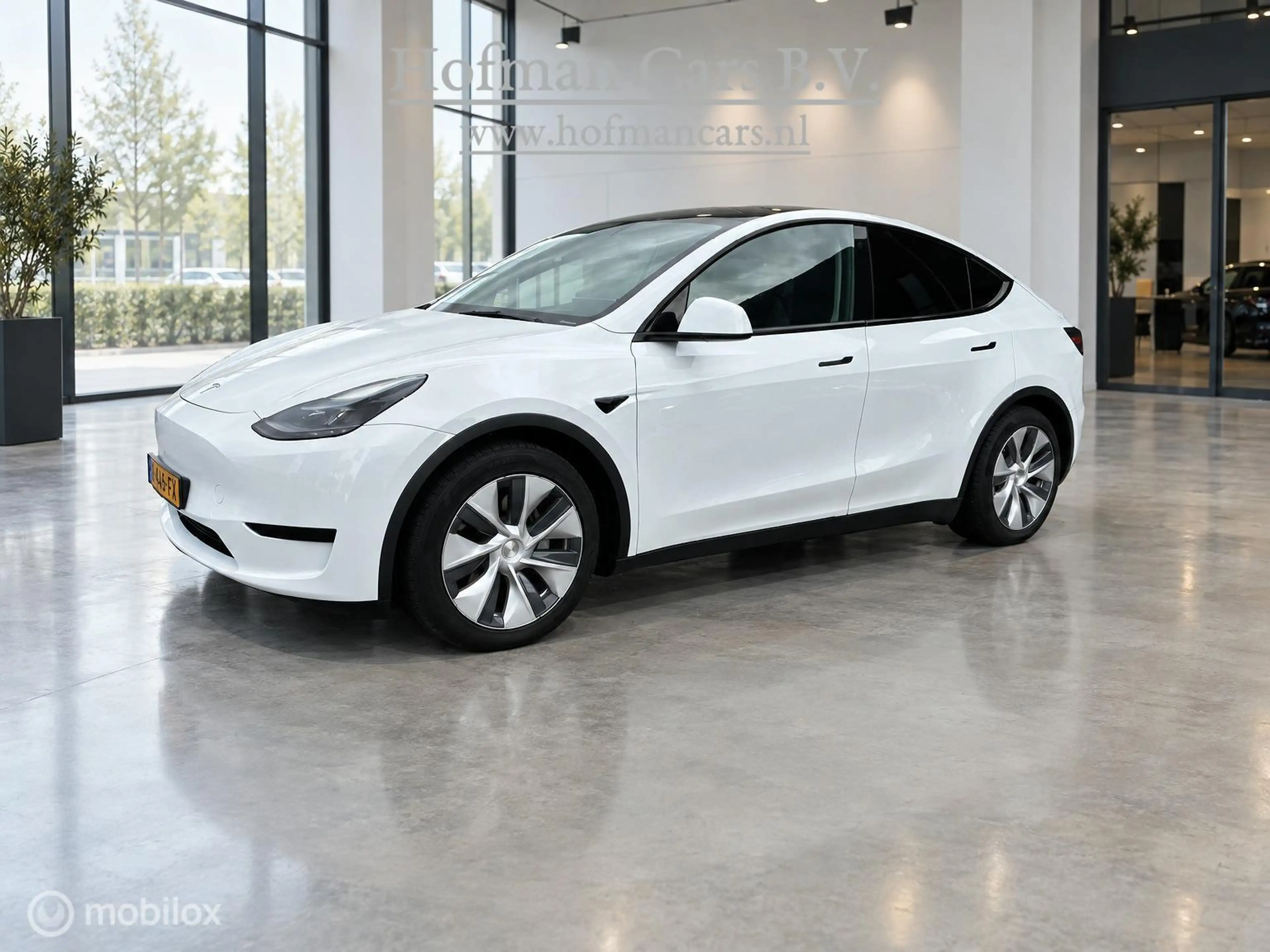 Tesla Model Y RWD 58 kWh LFP | SOH 88% MOBA | Supercharging | Ry — photo 3
