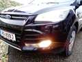 Ford Kuga 2,0 TDCi Titanium 4x4 Schwarz - thumbnail 5