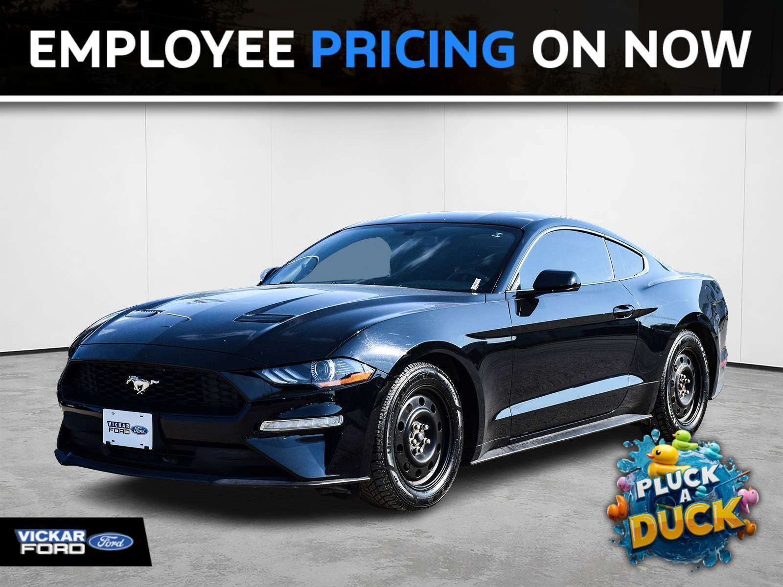 2019 Ford Mustang