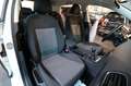 Volkswagen Golf 1.6 TDI 90cv 5p Business Trendline BMT - TAGL. VW Blanc - thumbnail 16