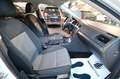 Volkswagen Golf 1.6 TDI 90cv 5p Business Trendline BMT - TAGL. VW Blanc - thumbnail 30