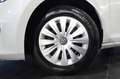 Volkswagen Golf 1.6 TDI 90cv 5p Business Trendline BMT - TAGL. VW Blanc - thumbnail 6