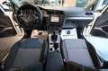 Volkswagen Golf 1.6 TDI 90cv 5p Business Trendline BMT - TAGL. VW Blanc - thumbnail 14