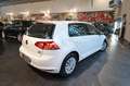 Volkswagen Golf 1.6 TDI 90cv 5p Business Trendline BMT - TAGL. VW Blanc - thumbnail 9